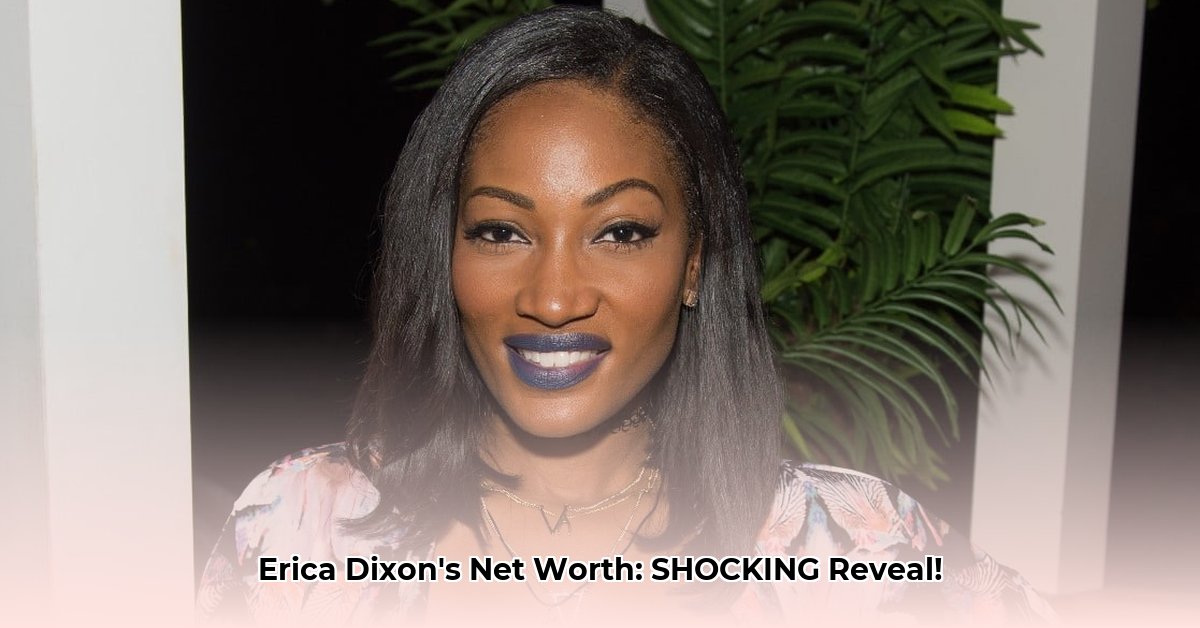 what-is-erica-dixon-net-worth